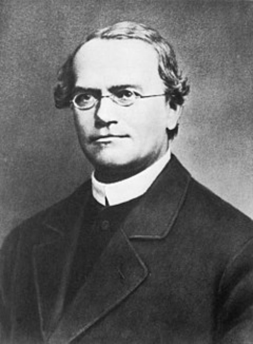Very Important Catholics: Mendel, il “Padre della Genetica Moderna”