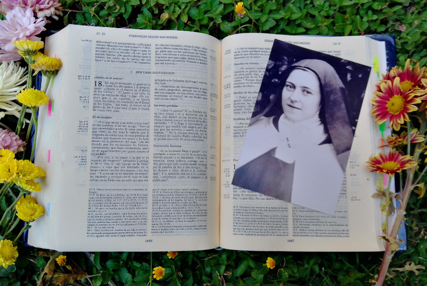 Consiglio di S. Teresa di Lisieux sul come “rendere Utili” le Distrazioni in Preghiera