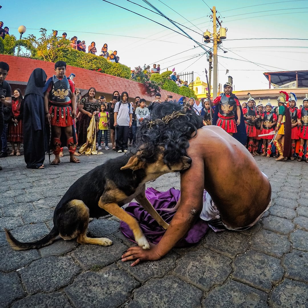 Guatemala: Cagnolino interrompe la Via Crucis per consolare Gesù Cristo