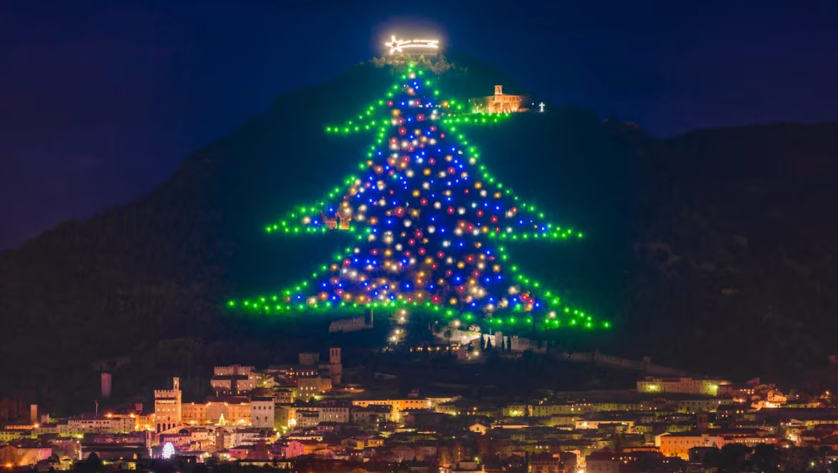 Record: l’Albero di Natale più grande del Mondo si trova in Italia