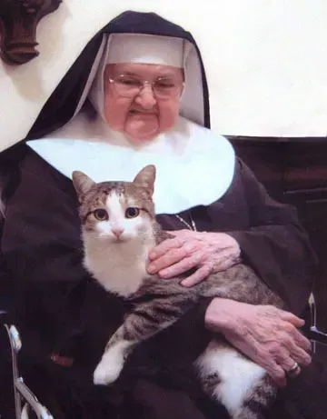 Come ha vissuto il Lutto il Gatto di Madre Angelica? Ecco una Storia che ti Toccherà il Cuore
