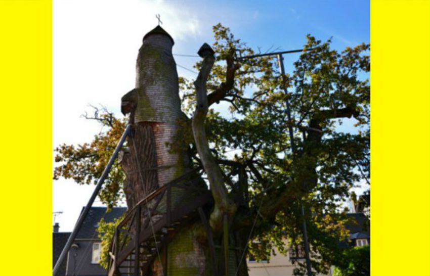 Quando gli alberi diventano luoghi sacri: la quercia-cappella di Allouville