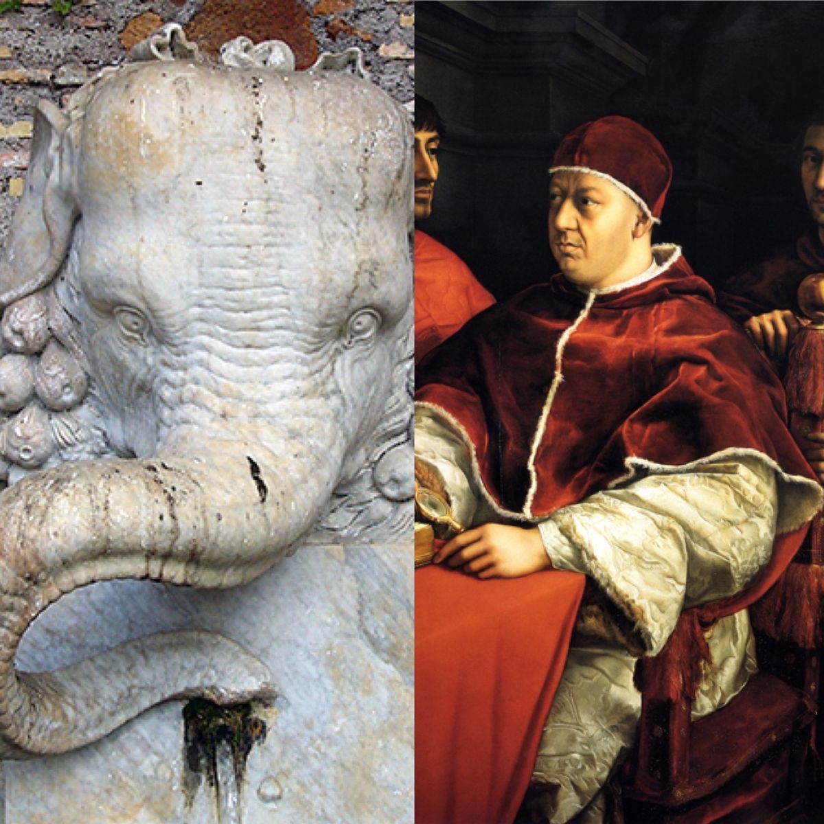 Lo sapevi che in Vaticano ha vissuto un elefante albino?