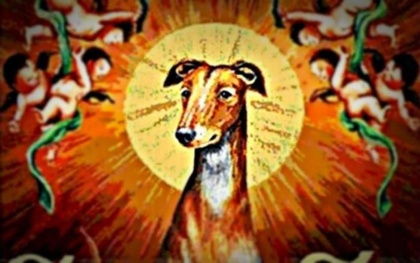 Guinefort, il cane che venne venerato come un santo durante il Medioevo