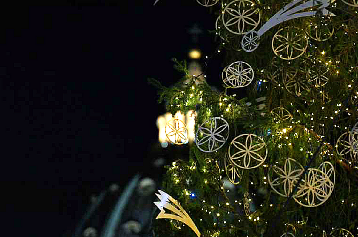 In Vaticano l'Albero di Natale ha ornamenti fatti dai senzatetto