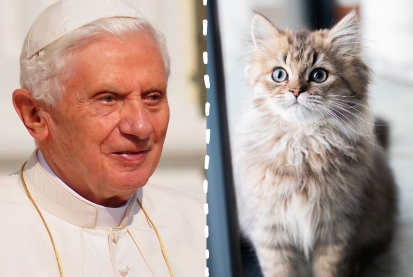 Gli Incredibili Aneddoti su Papa Benedetto XVI e i Gatti