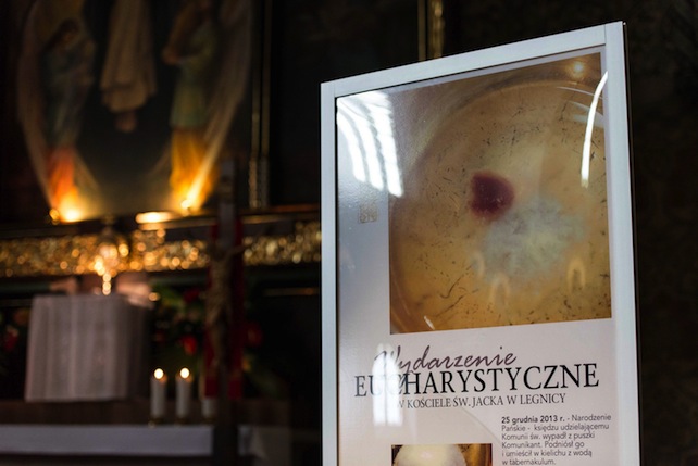 A Legnica in Polonia il miracolo eucaristico più recente